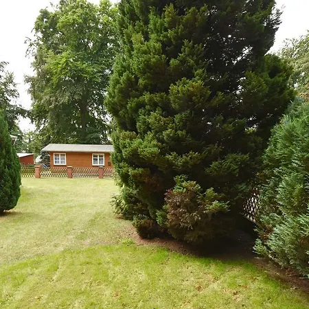 Ferienbungalows Am Rand Des Buchen * Sellin (Rugen)